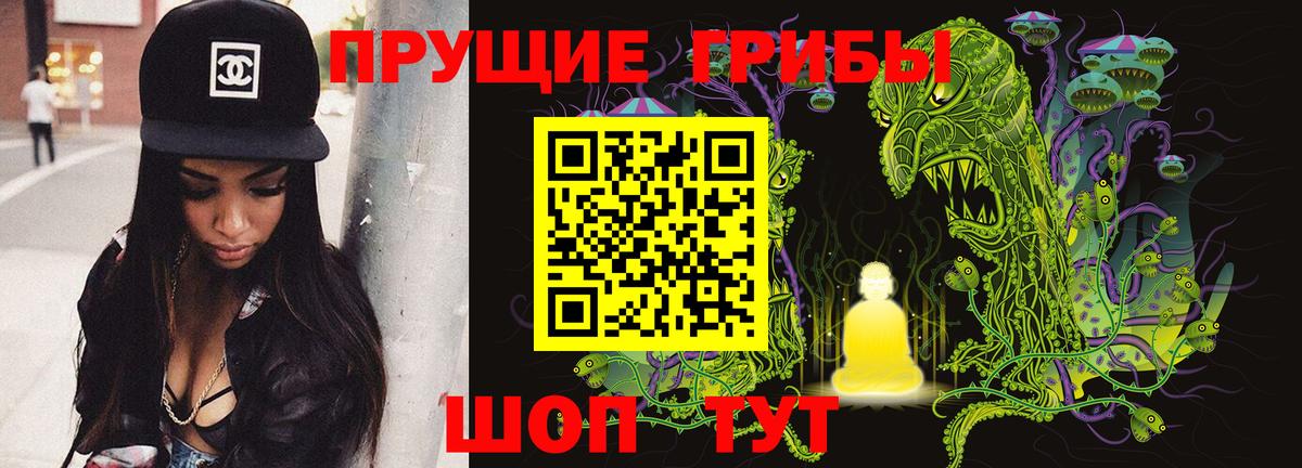 Галлюциногенные грибы Psilocybine cubensis  Вход с VPN  Еманжелинск 